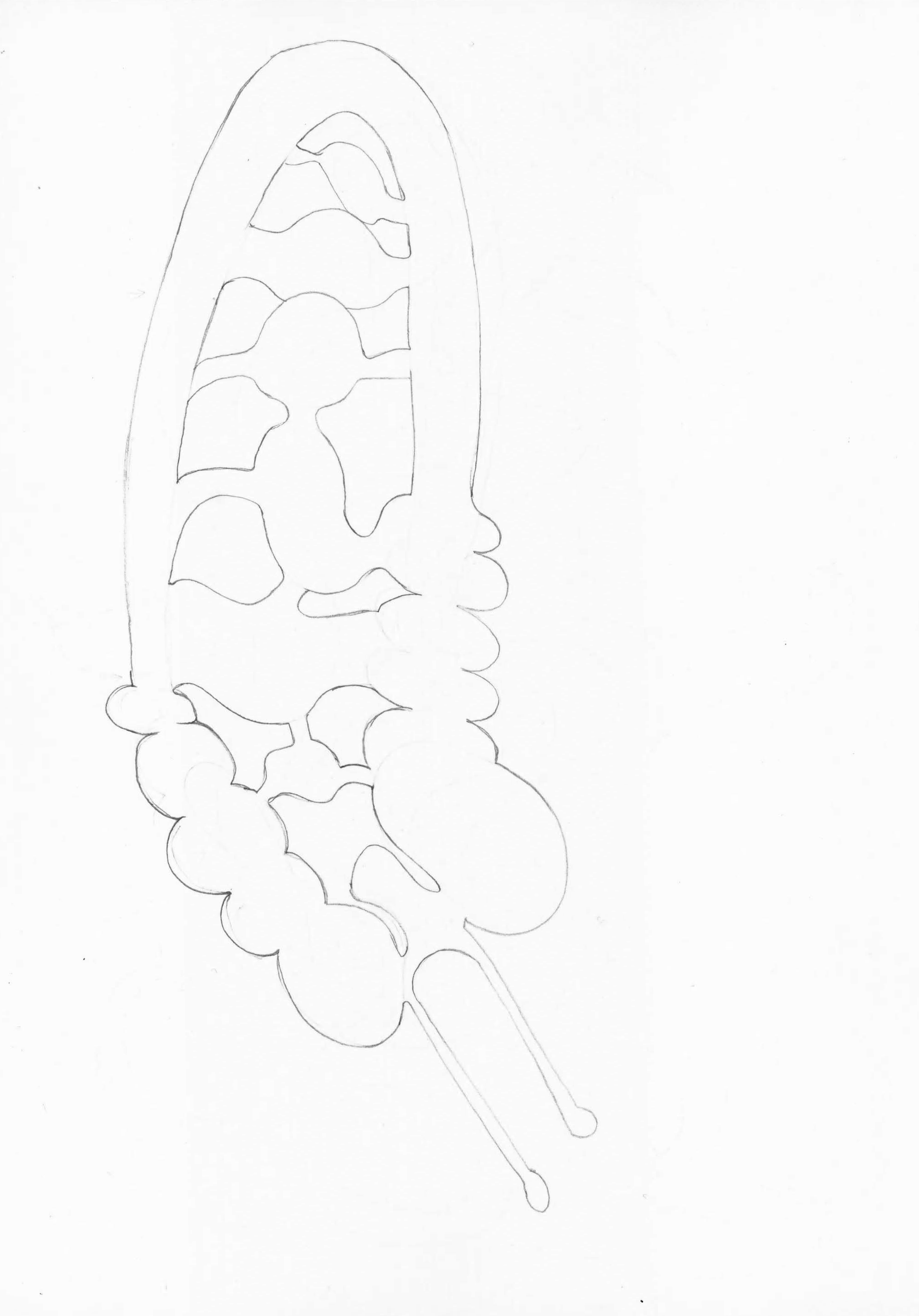 Georgia Sagri, Soma in orgasm as brain, 2017, pencil on paper, 29.5 × 20 cm